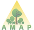Amap Logo