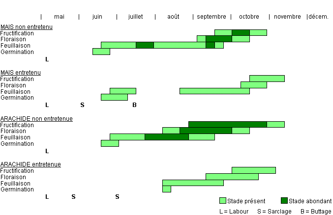 Cycle de développement de BOICH