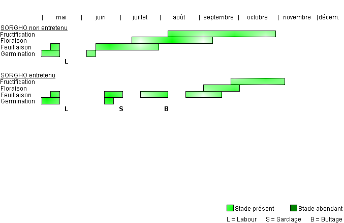 Cycle de développement de BRALA