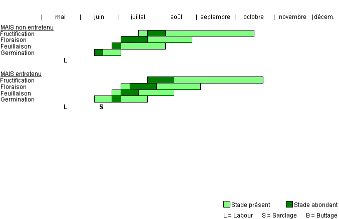 Cycle de développement de BULBA