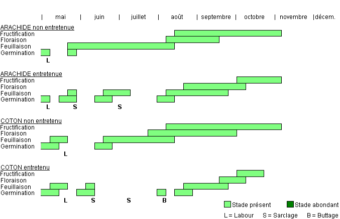 Cycle de développement de CASOB