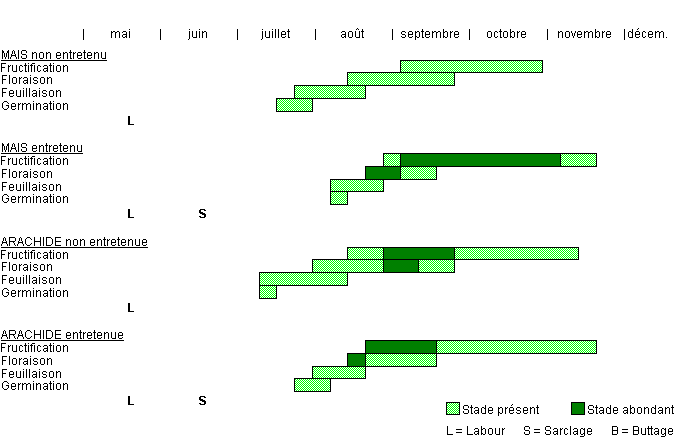 Cycle de développement de CYPAI