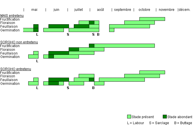 Cycle de développement de CYPES