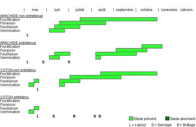 Cycle de développement de FIMHH