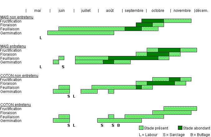 Cycle de développement de HPYSP