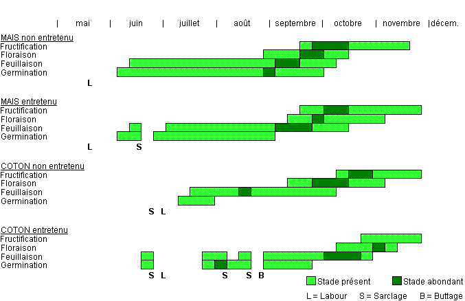 Cycle de développement de LEVMA