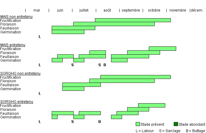 Cycle de développement de PORQU