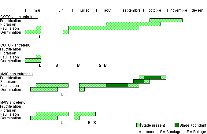 Cycle de développement de SEBPA