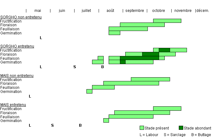 Cycle de développement de STRHE