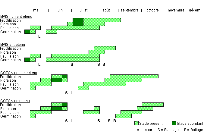 Cycle de développement de TRBTE